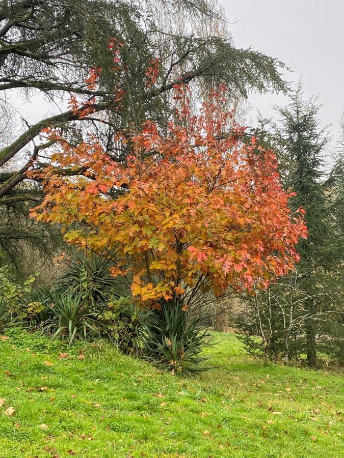 Domaine Le Manoir, Gites De Charme Et De Caractere Avec Piscines Privatisees Et Spa Nordique Fossemagne エクステリア 写真