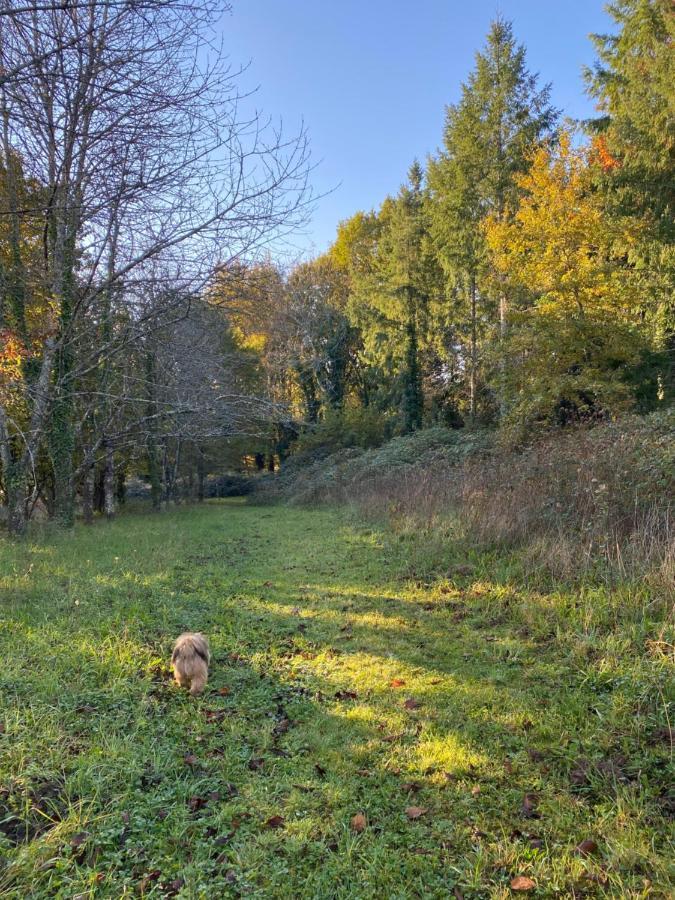 Domaine Le Manoir, Gites De Charme Et De Caractere Avec Piscines Privatisees Et Spa Nordique Fossemagne エクステリア 写真