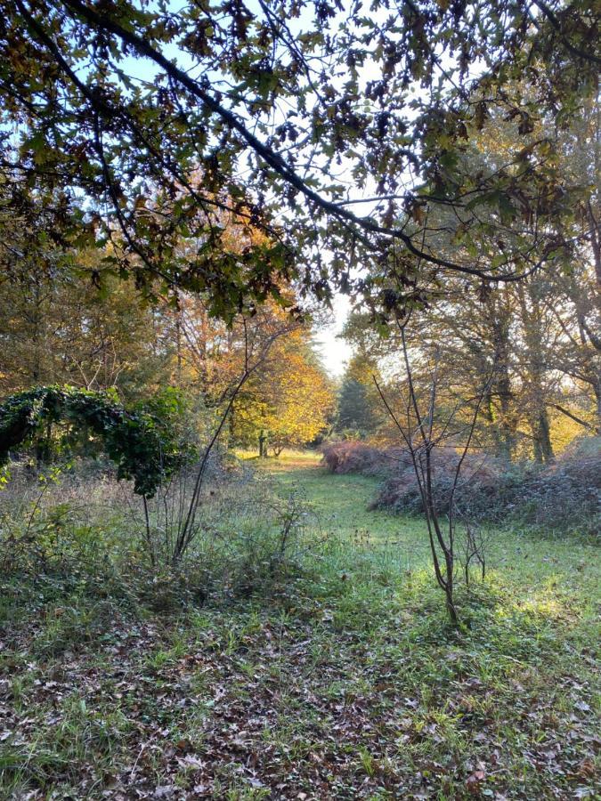 Domaine Le Manoir, Gites De Charme Et De Caractere Avec Piscines Privatisees Et Spa Nordique Fossemagne エクステリア 写真