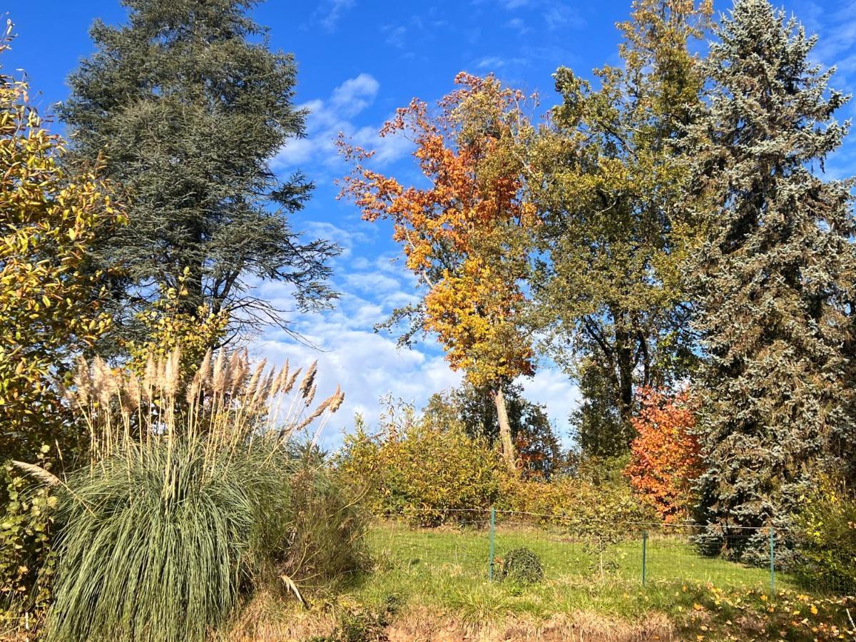 Domaine Le Manoir, Gites De Charme Et De Caractere Avec Piscines Privatisees Et Spa Nordique Fossemagne エクステリア 写真