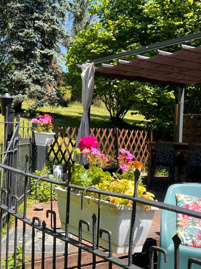 Domaine Le Manoir, Gites De Charme Et De Caractere Avec Piscines Privatisees Et Spa Nordique Fossemagne エクステリア 写真