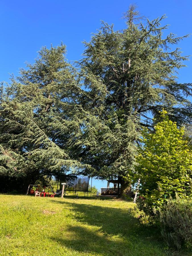 Domaine Le Manoir, Gites De Charme Et De Caractere Avec Piscines Privatisees Et Spa Nordique Fossemagne エクステリア 写真
